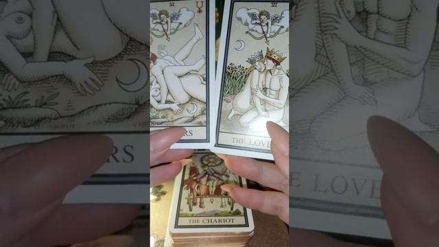 Обзор колоды таро Алхимия и краткое описание арканов ч. 1 смотреть онлайн