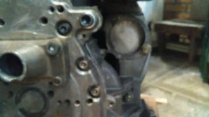 Hatz diesel 1d81s 13 cv