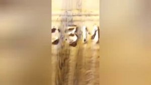 Промывка гидравлической системы  Hynday 380-9c ремонт демонтаж монтаж.