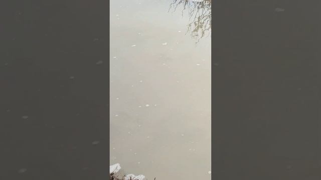 9 января 2023 г. смотреть онлайн