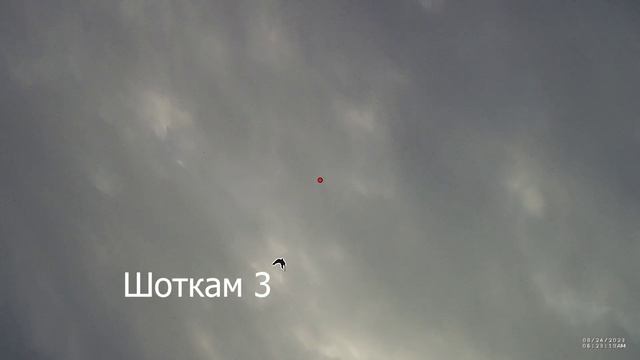 SHOTKAM сравнительный обзор разных моделей смотреть онлайн