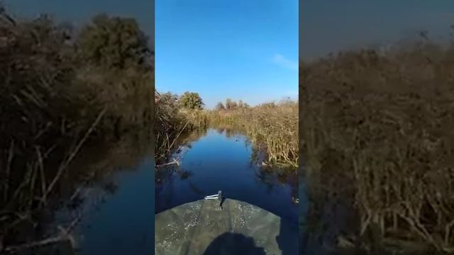 Крым по камышам смотреть онлайн
