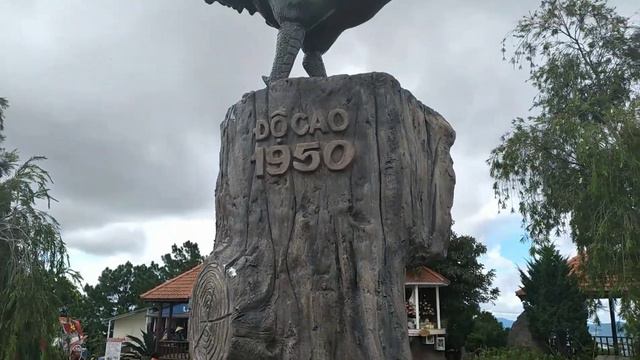 На вершине плато Лангбянг с высотой 1950м смотреть онлайн