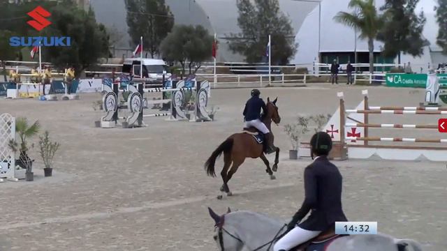 Vilamoura Young Horse Grand Prix - Matias Albarracin & Cannavaro 9 (Cornet Obolensky x Florestan I) смотреть онлайн