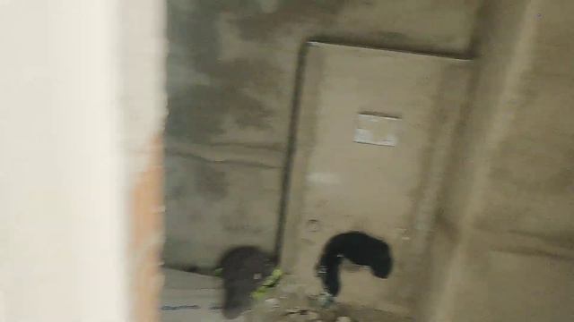 Недвижимость в Турции 2021. Новостройки в Алании. Обзор комплекса Konak Garden Life Residence смотреть онлайн