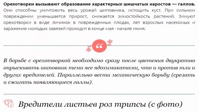 Розы: Вредители роз описание и средства борьбы. смотреть онлайн