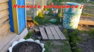 Отпугиваем кротов. Как избавиться от кротов в огороде. Такого метода вы еще не видели