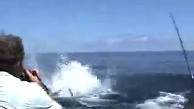 Съездили на рыбалку смотреть онлайн