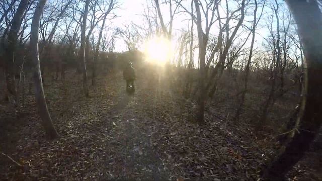 МОНОКОЛЕСО/ КРАСИВОЕ ВИДЕО В БОТАНИЧЕСКОМ САДУ/ ВЛАДИВОСТОК смотреть онлайн