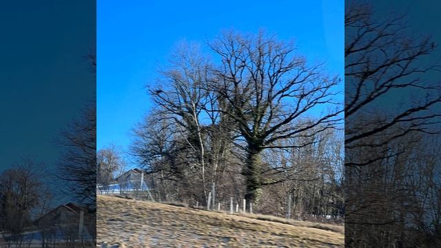 Мы вам покажем смотреть онлайн