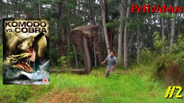 De Peor A Mejor Pelicula De Komodo | Pelivideos Oficial