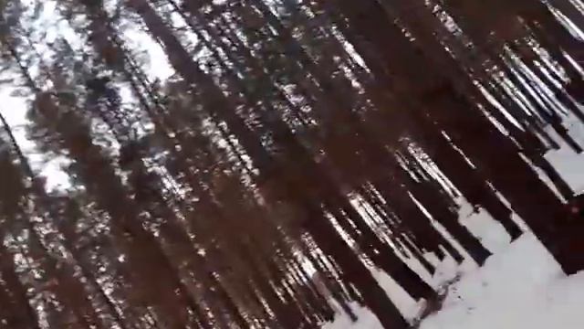 ночевка новогодняя в лесу 2017 утро смотреть онлайн