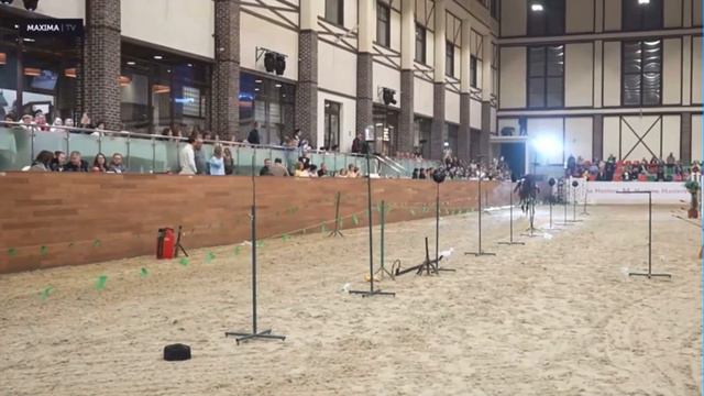 Выступление Центра Джигитовки в Maxima Park 27 января 2024 года смотреть онлайн