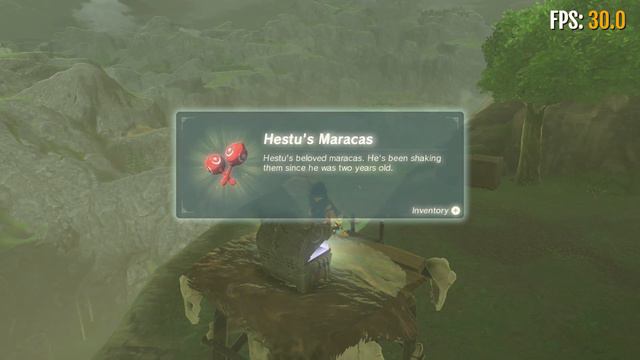 Zelda BOTW FPS Test on Nintendo Switch смотреть онлайн