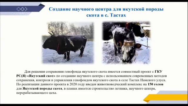 Выступление Главы МР "Намский улус" Юрия Слепцова смотреть онлайн