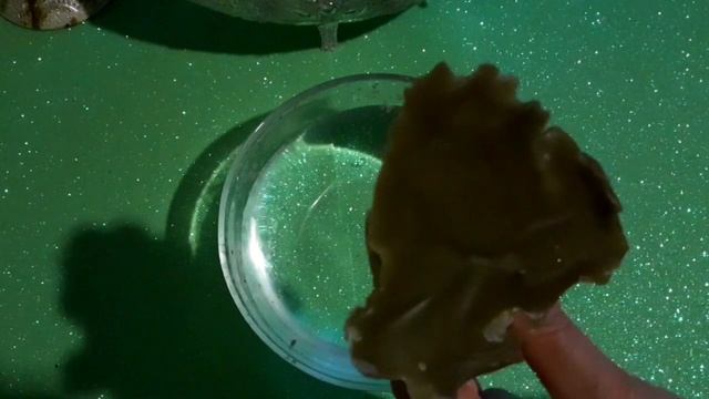 ?Перемены на небосводе! Что принесут в Вашу жизнь?!??? смотреть онлайн