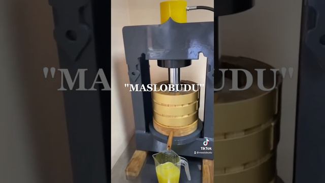 Маслопресс для сыродавленных масел на 50т “MASLOBUDU” смотреть онлайн