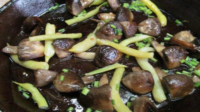 Сборник рецептов