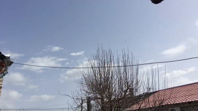 #Pigeons.Как дать голубям гнездо.