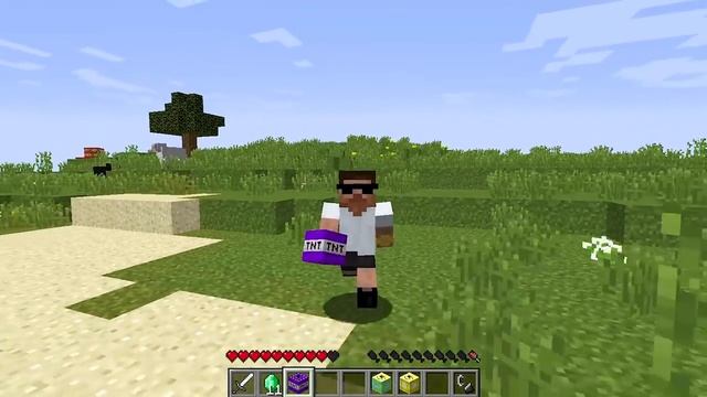 I FOUND LARGEST TNT in MINECRAFT ?? смотреть онлайн