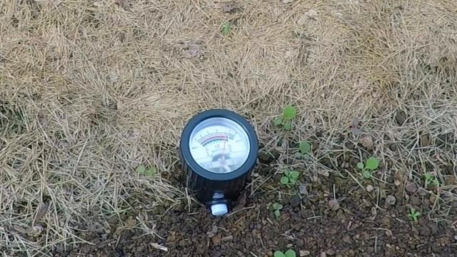 осенний минимум как подготовить теплицу к зиме смотреть онлайн