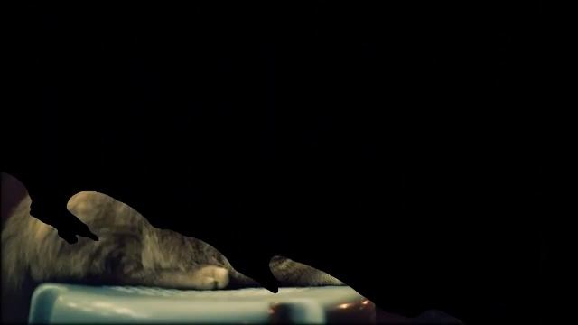 Совместные стежки с талантом и идеей