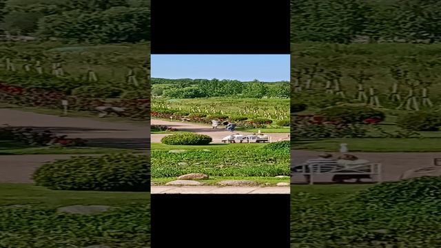 Петергоф парк фонтаны