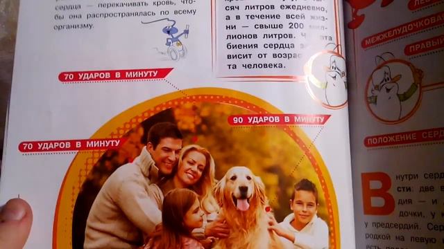 1 часть человеческого торса. смотреть онлайн