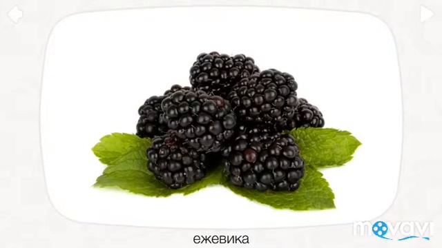 Изучаем фрукты и ягоды,развивай-ка, малыши. смотреть онлайн