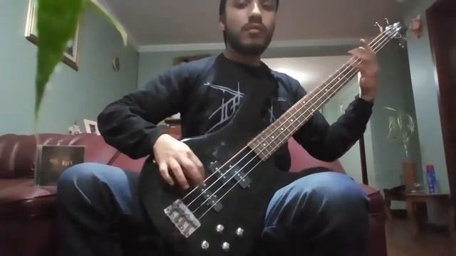 Scatology Secretion - Disintegration Of Civilization (Bass Cover) смотреть онлайн