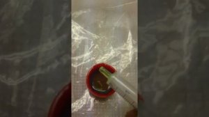 Долив антифриза hyundai getz