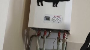 Запуск и эксплуатация газового котла