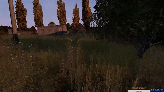DayZ Standalone - Выживаем смотреть онлайн