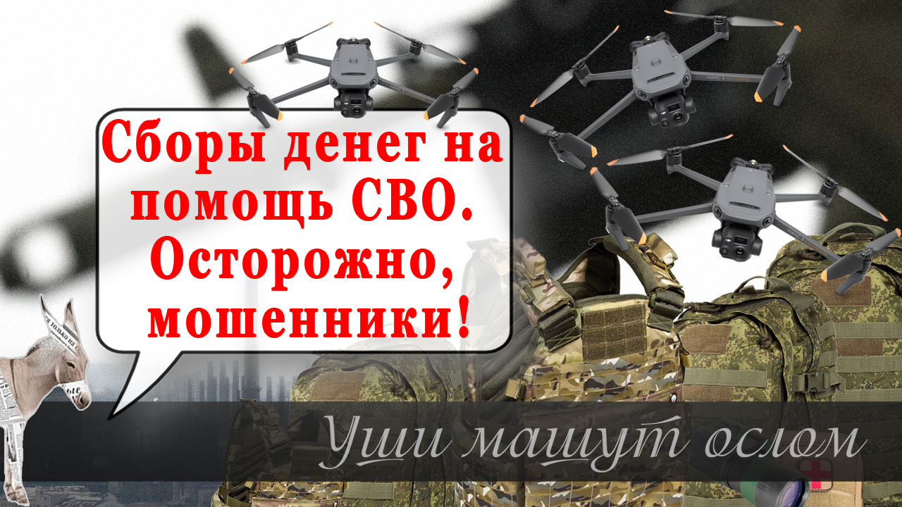 Сборы денег на помощь СВО. Осторожно, мошенники! | Уши машут ослом (109) смотреть онлайн