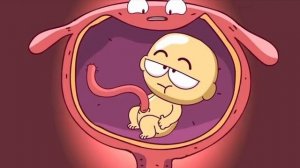 Мульт про беременность