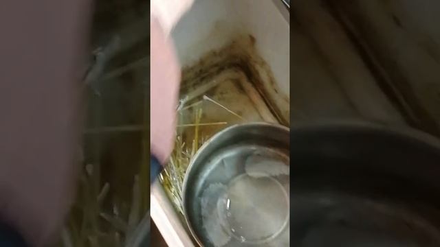Утилизация термометра, сбор ртути смотреть онлайн