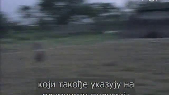 Celebrations (58): The Kamayura - War games (eng/ser) смотреть онлайн