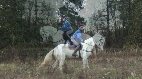 Полевая верховая езда