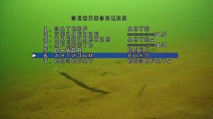 20,01,23 Настройка OSD меню на водоеме