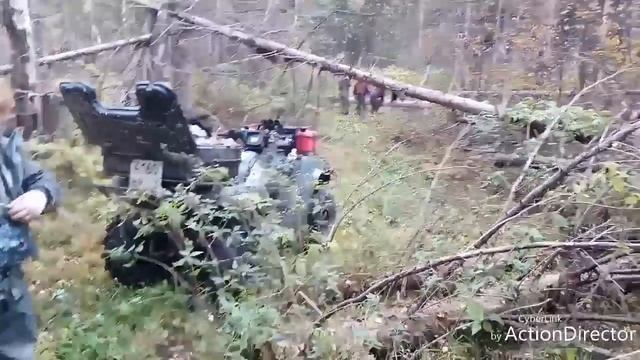 кольчугино смотреть онлайн