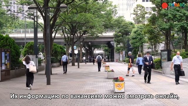 Как искать работу в Японию? Сайты и советы по поиску работы. Арк Академия смотреть онлайн
