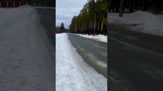 Березники, земля, пос. Орёл смотреть онлайн
