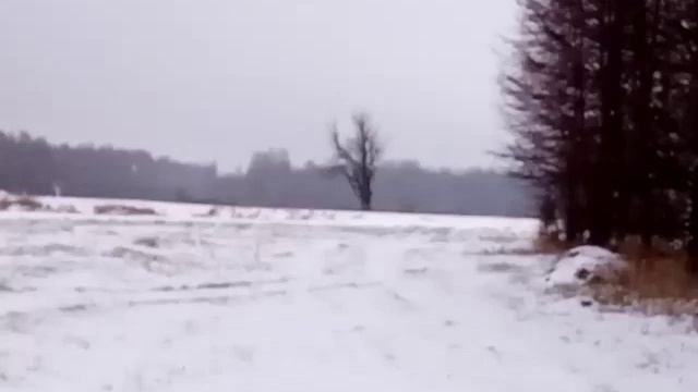 Гусеничный вездеход бродяга. Продам, 200т.р смотреть онлайн