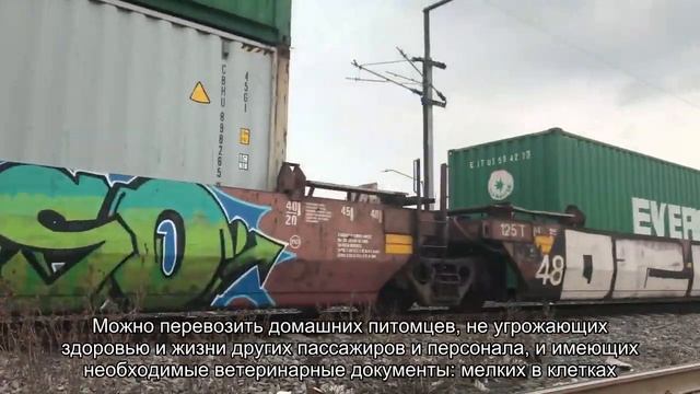 Аэроэкспресс в аэропорту Шереметьево: расписание, как добраться, тарифы смотреть онлайн