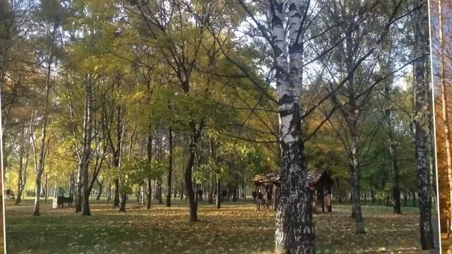 "Скерцо" (ветер листья со двора вымел) музыка и исполнение Олега Сапегина,стихи Юлии Вихаревой смотреть онлайн