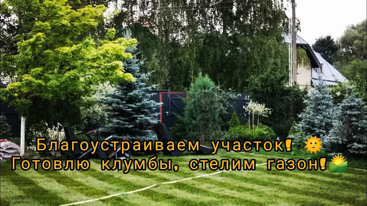 Благоустраиваем участок! Готовлю клумбы, стелим газон! Результат июнь 2023г смотреть онлайн
