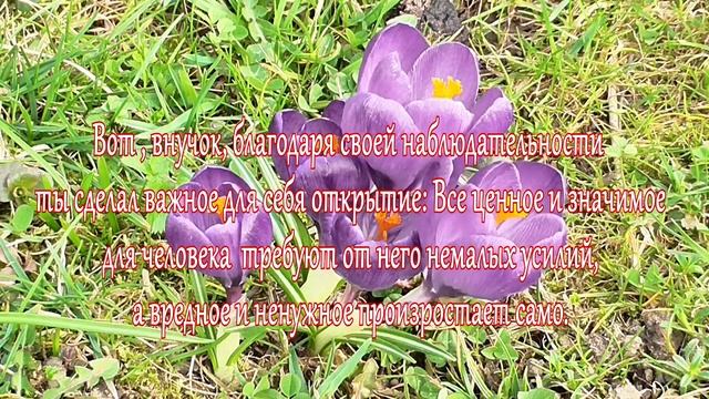 Притча разговор Деда с Внуком.... смотреть онлайн