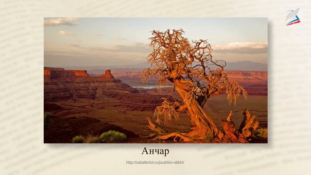 Свободолюбивая лирика Пушкина. «Анчар», «Туча», «Бесы», «К морю» смотреть онлайн