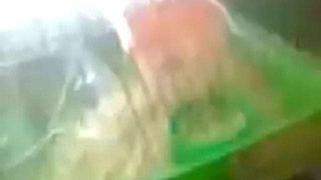 Лего клеш рояль и хомяк смотреть онлайн