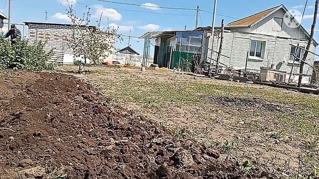 Еду к родителям на мотоблоке Авангард 2 км. фрезеровать землю. смотреть онлайн